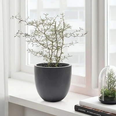 LuxenHome Round Tapered 9.2" H House Planter, Indoor/Outdoor Black 4 LuxenHome Round Tapered 9.2" H House Planter, Indoor/Outdoor Black - Image 2