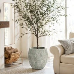 LuxenHome Round Cement Planter – Rustic Gray Pot With Drainage Hole & Plug For Indoor/Outdoor Plants -Garden GUEST 2bf9da04 48c6 46e0 a5ec 8d0518d396b0