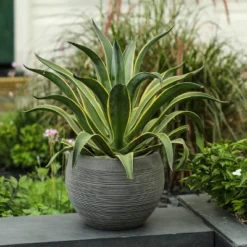 LuxenHome Gray Pottery-Style 11.75-inch Round MgO Planter 9 LuxenHome Gray Pottery-Style 11.75-inch Round MgO Planter -Garden GUEST 49e33dbc ad7f 4aa3 b8ae c93c742b66a8