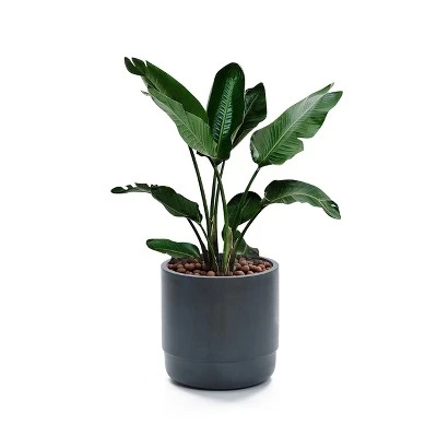 LuxenHome Modern Gray MgO 14.17" Round Planter 8 LuxenHome Modern Gray MgO 14.17" Round Planter - Image 6