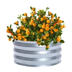 LuxenHome 2ft Round Galvanized Metal Raised Garden Bed Planter -Garden GUEST 8717d912 72b1 4eb5 9f01 bfcfe56e4b76