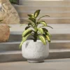 LuxenHome Rustic Planter – White & Gray Round MgO Pot With Drainage Plug 2 LuxenHome Rustic Planter – White & Gray Round MgO Pot With Drainage Plug -Garden GUEST a9edcebf b699 4779 9188 1396b968aec4