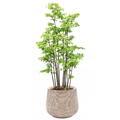 LuxenHome Distressed Tan MgO 15" H Tapered Round Planter Brown 8 LuxenHome Distressed Tan MgO 15" H Tapered Round Planter Brown - Image 6