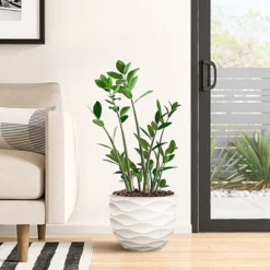 Front Page -Garden GUEST cde8bc64 e471 4781 b067 9a9ba17d9e4e