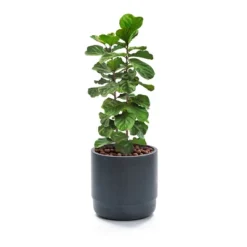 LuxenHome Modern Gray MgO 14.17" Round Planter 15 LuxenHome Modern Gray MgO 14.17" Round Planter -Garden GUEST f0926219 7ba7 439f b530 fcabb1f8a0cd