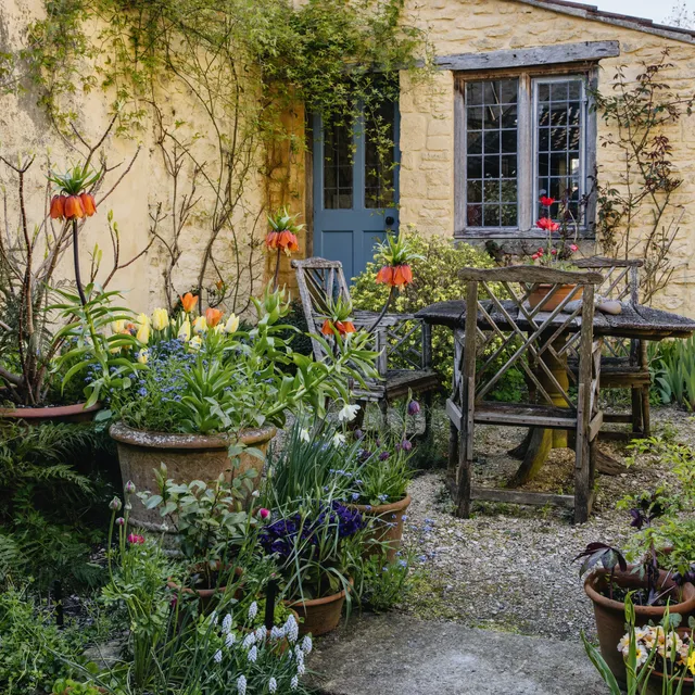 Front Page -Garden undefined 4